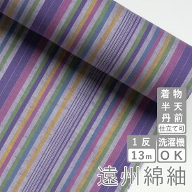 遠州綿紬 S-69 -Beautiful Girl-