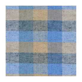 【無料生地サンプル】遠州綿紬 広巾 W-18 ブルーベリー　※お一人様10柄まで請求可