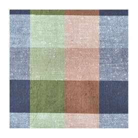 【無料生地サンプル】遠州綿紬 広巾 W-23 冬ごもり　※お一人様10柄まで請求可