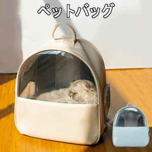 yX[p[Z[ 50%OFFzybgL[obO LL[obO ybgobO ybgL[ obObN L[obO LL[obO bN L ܂肽 яoh~ 