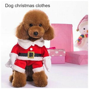 @T^NX}X@NX}X@@@@hbOEFA@p@RXvߑ@g@~p@T^@ybg@T^hX@ybg̕@̗m ^@h