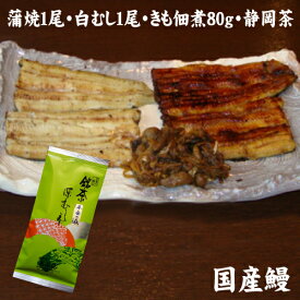 しずおかセット　送料無料　国産うなぎ　蒲焼1尾・白むし1尾・きも佃煮100g・深蒸し茶100g　沼津うなよしの3種類味くらべ　白焼き　冷蔵クール便