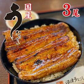 手焼き　国産鰻蒲焼3尾　送料無料　国産うなぎ　冷蔵クール便