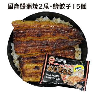 手焼き 国産鰻蒲焼2尾・鯵餃子(あじぎょん)15個入り1パック 送料無料 アジ餃子・鯵餃子 冷凍クール便