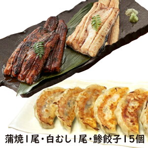 味くらべ3種類 手焼き 国産鰻蒲焼1尾・白むし1尾・鯵餃子(あじぎょん)15個 白焼き 送料無料 冷凍クール便