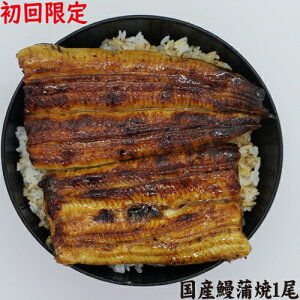 yzĂ@YV1@@①N[ց@߂Ă̕@ll1̂