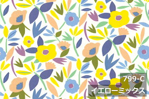 AEgbgI@yL150cm Chz ~j^ IbNX vg Rbg100 W k { z  n zn Jbg̔ ؔ CeA NbV e[uNX J[e t