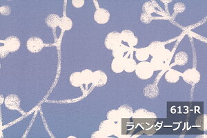 yL150cm Chz R IbNX vg Rbg  100 W k { n zn Jbg̔ CeA A ݃J[ NbV e[uNX J[e t@u