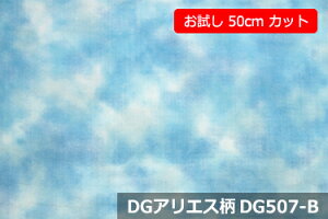 u@50cmJbgiL155cmjv_uK[[vg@DGAGXm[z}HŃfP[gȔɂSyFFXJCu[ DG507-Bz@֗ȕL 155cm ! Rbg100%@_u