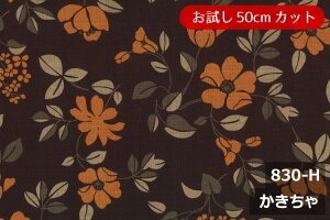 yL160cm Chz Ԃݕ a hr[ vg Rbg  100 W a { z zn Jbg̔ CeA 吳_ g_ zc R^czc  NbV