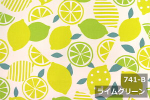 AEgbgI@yL150cm Chz  IbNX vg Rbg  100 W k { z n zn Jbg̔ ؔ CeA NbV e[uNX J[e t