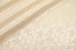 A[gGXe TNyL153cm Chz|GXe  a aW EHbVu xbhJo[ zcJo[ sP[X J[e e[uNX RXvߑ  p