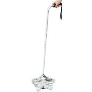 CgiLITEj {[sbJ[ {[E W yC-56z