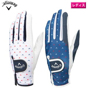 LEFC@2023 VFu fA O[u (p) 23 JM [  fB[X@p@St@Chev Dual Glove]