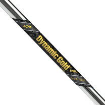楽天市場】ダイナミックゴールド amt ツアーイシューの通販