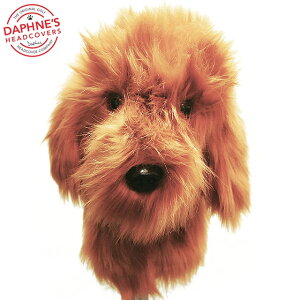 Daphne's Doodle �ʂ������ �w�b�h�J�o�[ �h���C�o�[�p 460cc�Ή� [�_�t�l�@�h�D�[�h���@�g�C�v�[�h���@�v�[�h�� �R�����@�����J��]