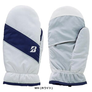 uaXg@Stp~gij@WGG31[BRIDGESTONE@Golf@St@@h@ۉ]