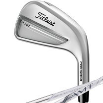 楽天市場】タイトリスト t250 アイアン 単品の通販