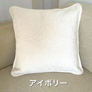 NbVJo[  ӂӂ 45×45cm }CNt@Co[ ~ GKg  k ԕ  킢 Cu Lg  G肪ǂ C ѕz݂ p[