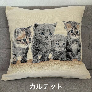 NbVJo[ L qL 킢 45×45cm |gK ӂ 􂦂  \t@[ rO _CjO  Q V ͗lւk WK[hD N₩ v[g NX}X 