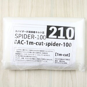 (1mJbg) XpC_[ЖʐڒLgc 100 ( LeBO pb`[N  bXobO Oj[obO }U[obO ) ̔