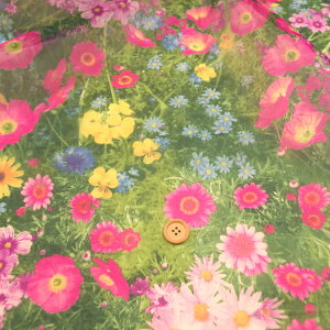 n Flowers of a Dream I[KW[ ( n zn z  wZ  Cxg ߑ CeA CN ) 50cmP