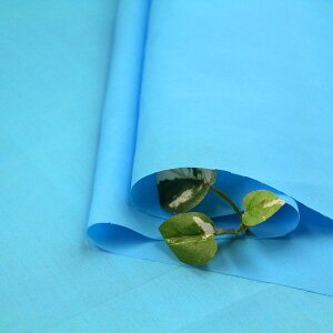 n X[p[^t^ ^t^n ( ^t^ Cxg ߑ fBXvC H zn ) 50cmP