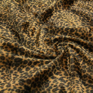 n x{A Ip[h -qE- ( lbNEH[}[ bOEH[}[ |[` NbVJ o[ XJ[g nhCh zn Aj} ) 50cmP