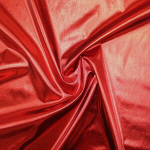 n }[u n ( Cxg RXv ߑ \   Ce fBXvC zn ) 50cmP