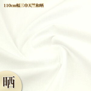 炵 110cmOГVaN VaN ( z Î pi Cxg  _ n n n zn ) 50cmP
