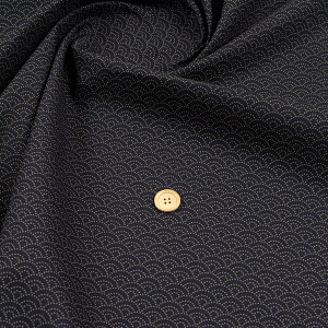 ᖳVsL⍮FV[Ya V[`On ( a ]ˏ 䕿 { ` ܌ В aG s Ƃ zn ) 50cmP