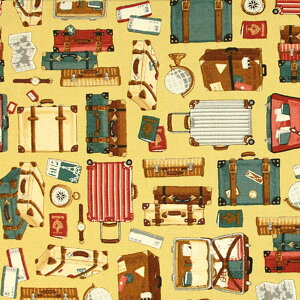 gxႨł IbNXn ( s gx  IV obO Gv zn ) 50cmP