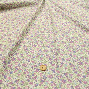 ᖳVsL␶n ԕ XvOt[ u[hn ( ԕ  nhCh G CeA zn ) 50cmP