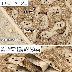 ᖳVsL͂˂ ȖLoXn ( nlY~ nlY~ ͂˂ݕ Gv obO 킢 zn ) 50cmP