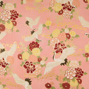 ᖳVsL߂Ɖ V[`On `cH a Vc ԕ { lC  В obO  g s[X AnVc zn 50cmP