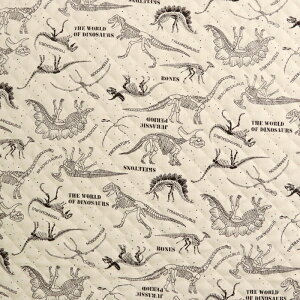 ̍Lg Lgn (  dinosaur  w wZ XN[obO zc zn ) 50cmP