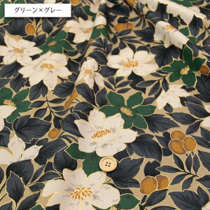 ʂ̉ cCn ( ԕ t[ obO {^jJ Gv t[K[f zn ) 50cmP