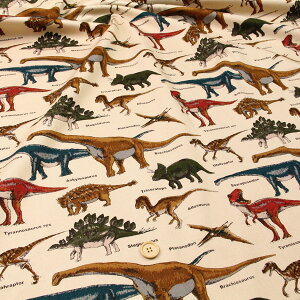 ᖳVsL⋰ cCn (  dinosaur  w wZ obO Gv В zn ) 50cmP