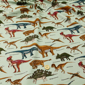 ᖳVsL⋰ cCn (  dinosaur  w wZ obO Gv В zn ) 50cmP