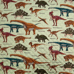 ᖳVsL⋰فLg Lgn (  dinosaur  w wZ XN[obO zc zn ) 50cmP