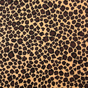 qE 6690-3 cCn Aj} obO Gv  nhCh XJ[g σ|[` zn 50cmP