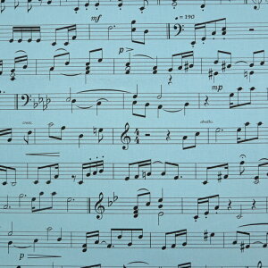 ܐ }Ki IbNXn bXobO yobO y obO  w Ճn[jJ Gv  nhCh zn 50cmP