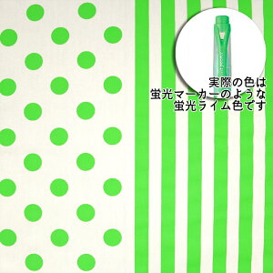 ᖳVsLuV[Y IbNXn ؍ L[g POP ؗ obO Gv G lC `FbN w nhCh   |[` Jt zn 50cmP