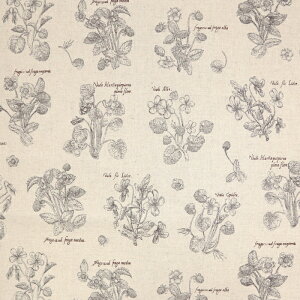 flowers Natural ȖLoXn ԕ Gv obO  lC  XJ[g s[X zn 50cmP