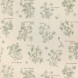 flowers Natural ȖLoXn ԕ Gv obO  lC  XJ[g s[X zn 50cmP