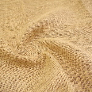 W[gn i`x[W ( nn K[fjO  bsO nhCh G CeA zn NX}X ) 50cmP