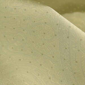 E^{fBOVNnናYn̐n }Ki {fBOn  Jo ΂  nhCh  zn 50cmP