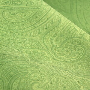 E^{fBOVNnናYn̐n }Ki {fBOn  Jo ΂  nhCh  zn 50cmP