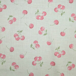cherry ݃J[ XPAn  X[N  `F[ В ̑ XN[obO wZ  w zn 50cmP