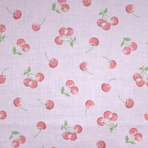 cherry ݃J[ XPAn  X[N  `F[ В ̑ XN[obO wZ  w zn 50cmP